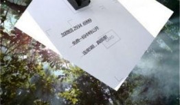 今日看料,揭秘最新资讯背后的故事