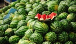 网红大瓜排行 网红大可乐